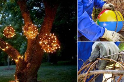 Φτιάξε μόνος σου DIY φωτιστικά από κληματόβεργες που δεν θα κοστίσουν σχεδόν τίποτα!