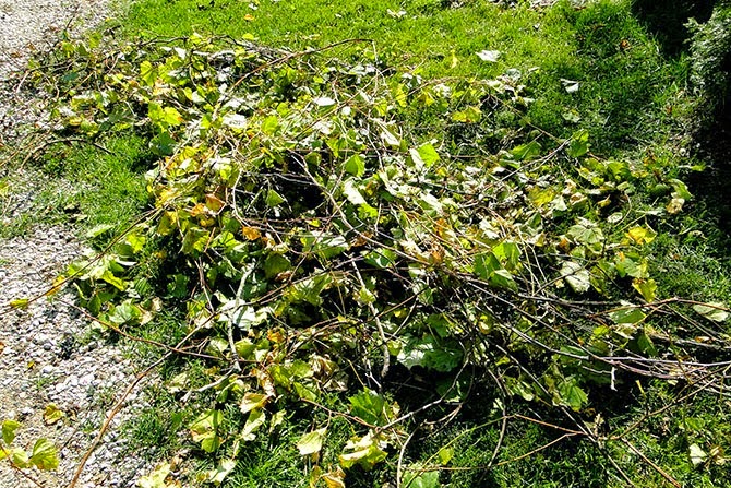 Φτιάξε μόνος σου DIY φωτιστικά από κληματόβεργες που δεν θα κοστίσουν σχεδόν τίποτα! 3 DIY φωτιστικά από κληματόβεργες για τον κήπο και το μπαλκόνι
