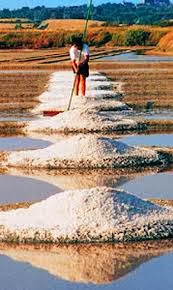 Φτιάχνω μόνος μου θαλασσινό αλάτι - ΠΑΡΑΣΚΕΥΗ ΦΥΣΙΚΟΥ ΘΑΛΑΣΣΙΝΟΥ ΑΛΑΤΙΟΥ 5 Φτιάχνω μόνος μου θαλασσινό αλάτι - ΠΑΡΑΣΚΕΥΗ ΦΥΣΙΚΟΥ ΘΑΛΑΣΣΙΝΟΥ ΑΛΑΤΙΟΥ