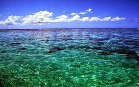 Φτιάχνω μόνος μου θαλασσινό αλάτι - ΠΑΡΑΣΚΕΥΗ ΦΥΣΙΚΟΥ ΘΑΛΑΣΣΙΝΟΥ ΑΛΑΤΙΟΥ 3 Φτιάχνω μόνος μου θαλασσινό αλάτι - ΠΑΡΑΣΚΕΥΗ ΦΥΣΙΚΟΥ ΘΑΛΑΣΣΙΝΟΥ ΑΛΑΤΙΟΥ