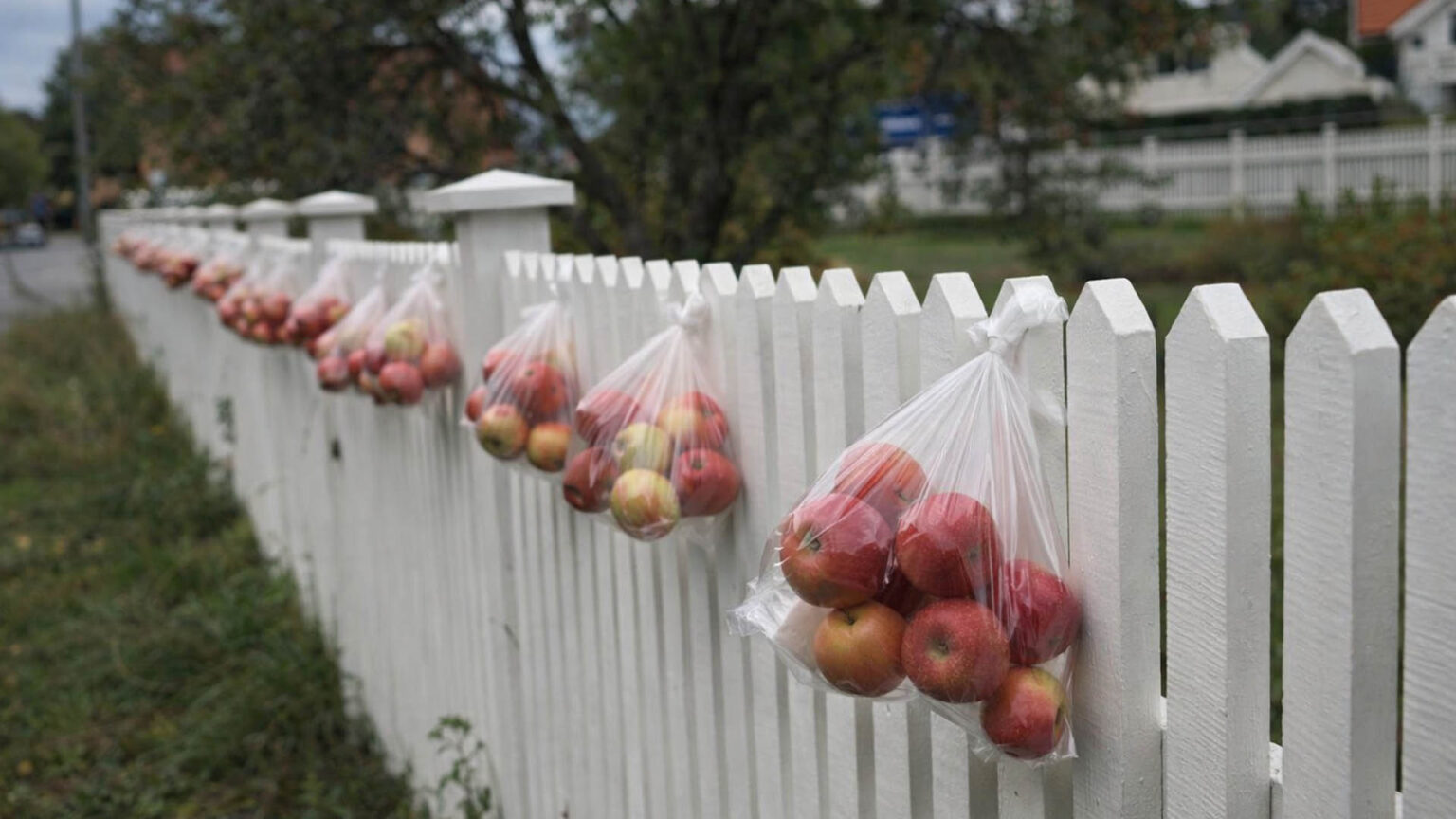 Στη Νορβηγία δεν αφήνουν τα μήλα να σαπίσουν: Το απλό κόλπο που έκανε τον γύρο του κόσμου