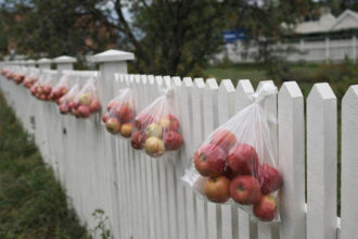 Στη Νορβηγία δεν αφήνουν τα μήλα να σαπίσουν: Το απλό κόλπο που έκανε τον γύρο του κόσμου