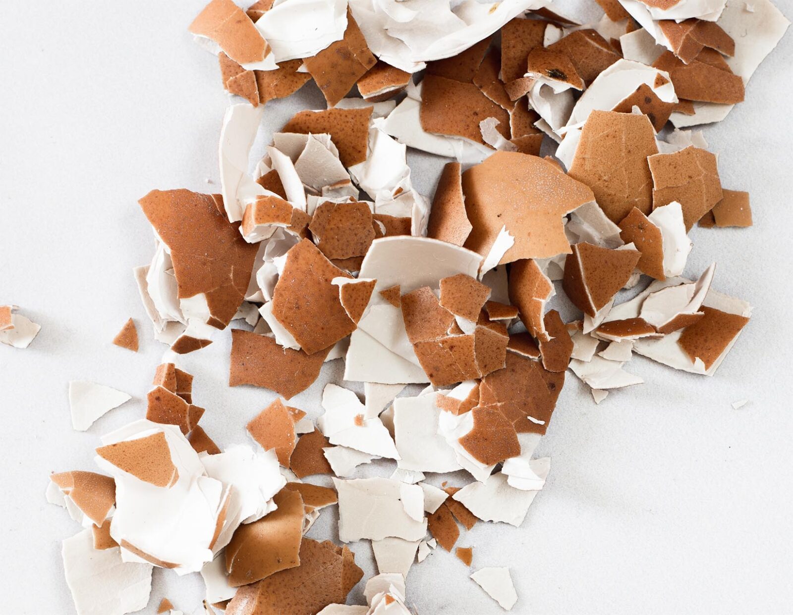 Έβαλα τσόφλια αυγού στο πλυντήριο και τα λευκά έγιναν ξανά κατάλευκα - Δεν το πίστευα 3 Λευκά ρούχα με τσόφλια αυγών