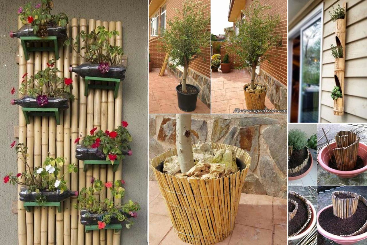 15 Μοναδικές Γλάστρες Φτιαγμένες από Μπαμπού