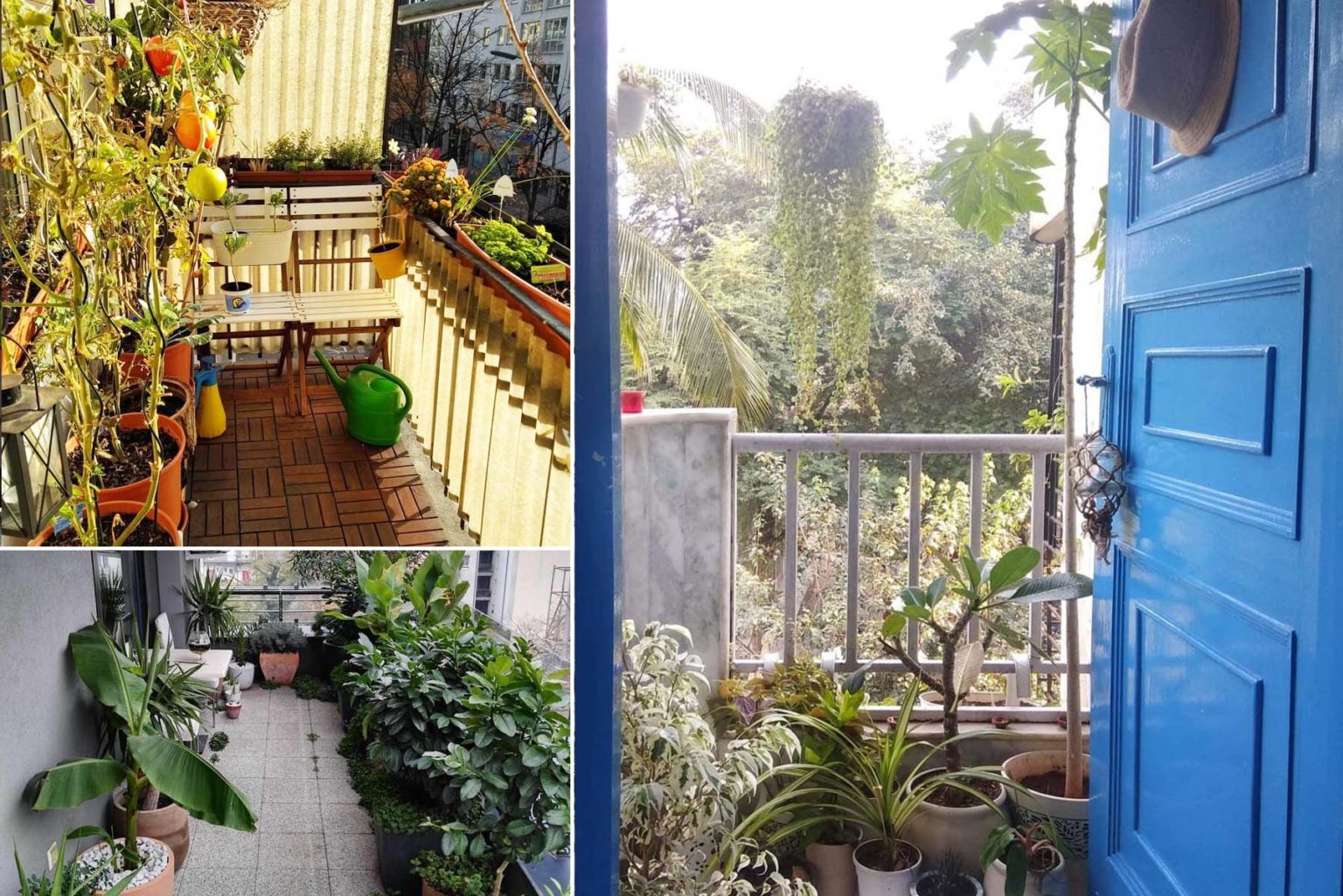 Φτιάξε Σήμερα Κήπο στο Μπαλκόνι! 25 φανταστικές ιδέες!