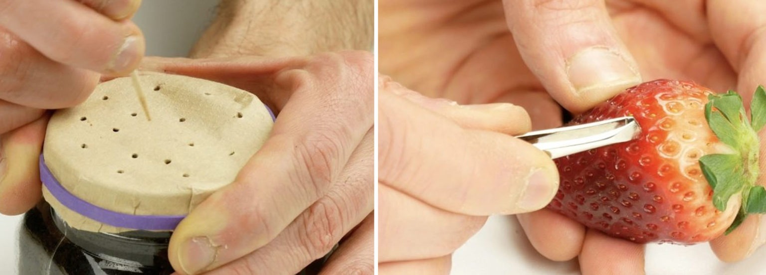 Καλλιεργήστε Φρούτα και Λαχανικά στο ΣπίτιΚαλλιεργήστε Φρούτα και Λαχανικά στο Σπίτι