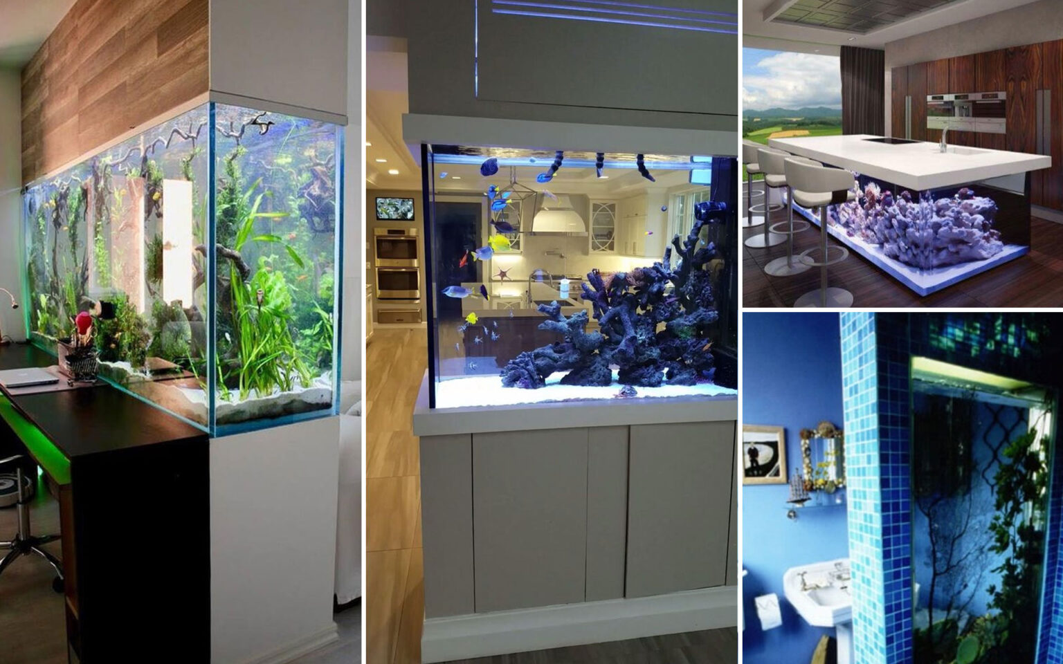 Ενυδρείο Στο Σπίτι: 50 Φοβερές Ιδέες