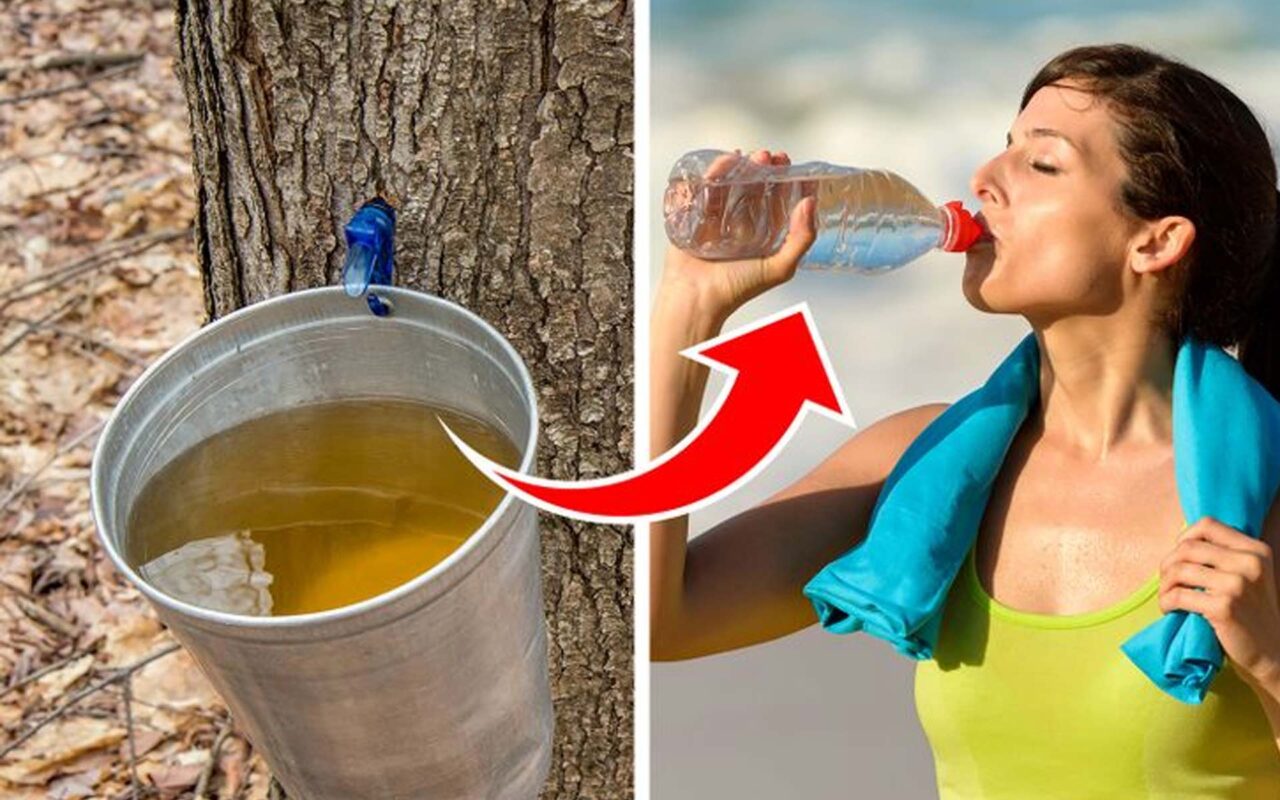 Τι Θα Συμβεί εάν Προσθέσετε Σιρόπι Σφενδάμνου στο Πρωινό Καθημερινά