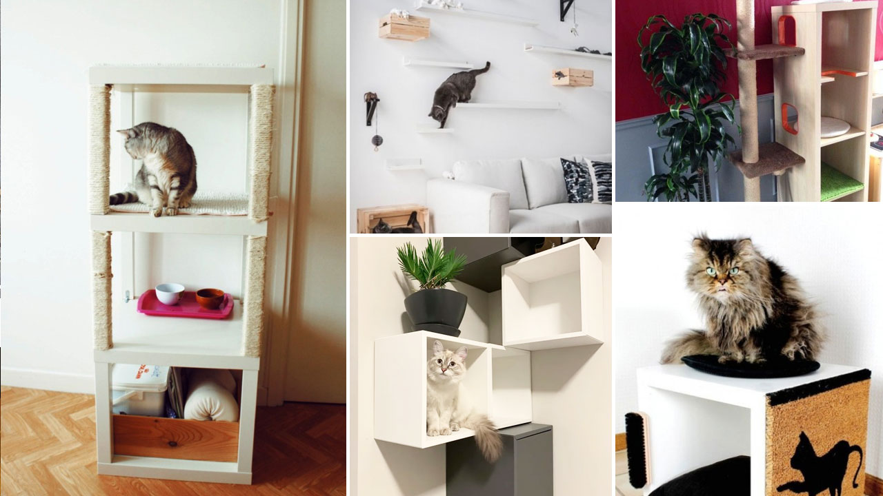 IKEA Hacks,IKEA Hacks έπιπλα για γάτες,κατοικίδια ζώα