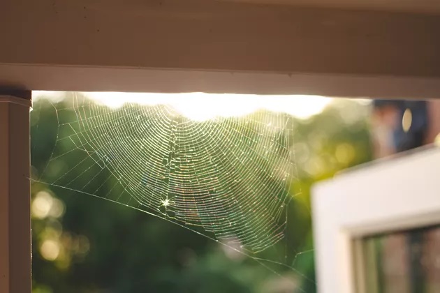 φυσητήρας φύλλων,εναλλακτικές χρήσεις,καθαριότητα,καθαριότητα σπιτιού,χρήσιμα,σπιτικά κόλπα