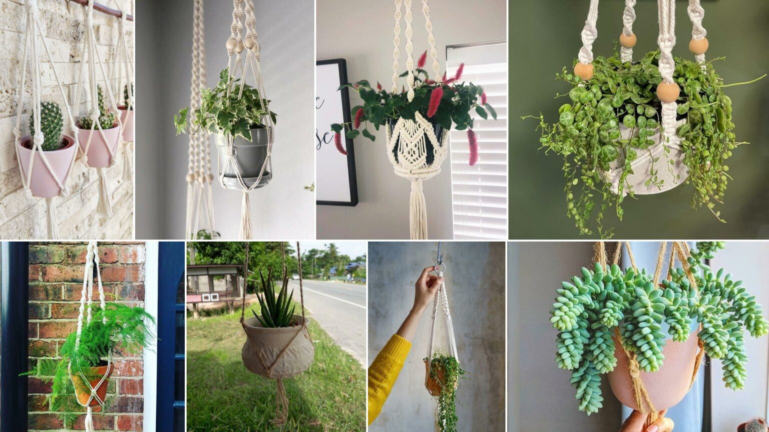 φυτά για γλάστρες μακραμέ,διακόσμηση με γλάστρες μακραμέ,διακόσμηση σπιτιού,ιδέες διακόσμησης σπιτιού