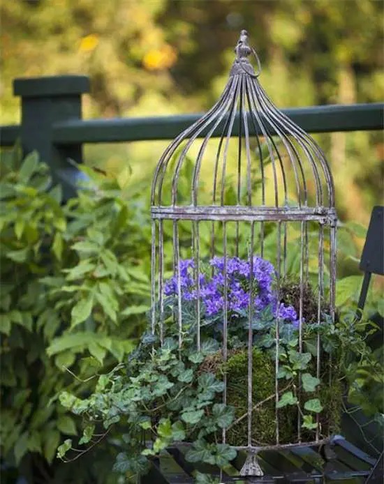 DIY γλάστρα,γλάστρα από κλουβί πουλιών,επαναχρησιμοποίηση,DIY κατασκευές,διακόσμηση κήπου,για τον κήπο