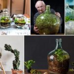 DIY κλειστά τερράριουμ,DIY Terrarium,DIY διακοσμητικά,DIY κατασκευές,γυάλινα μπουκάλια,