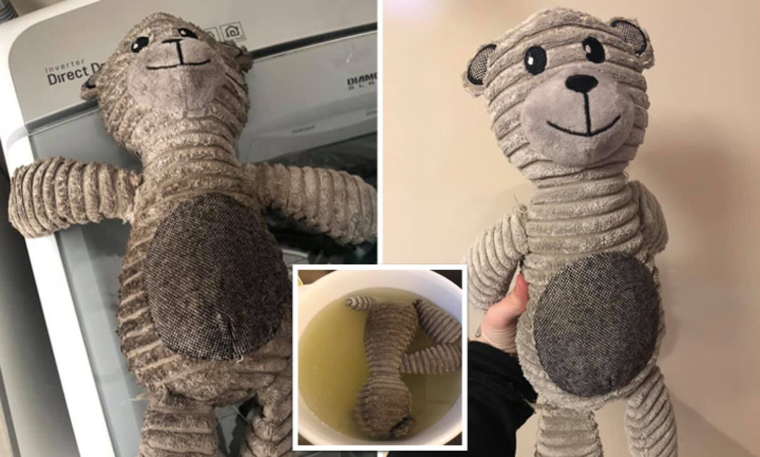 Μούχλα σε Λούτρινα Ζωάκια