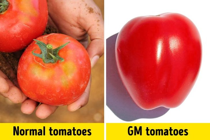 γενετικά τροποποιημένες τροφές,ΓΤΟ,βιολογικές τροφές,διατροφή,συμβουλές διατροφής