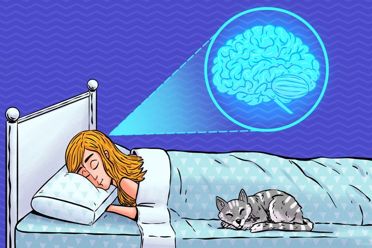έλλειψη ύπνου,ύπνος και εγκέφαλος,συμβουλές υγείας,υγεία