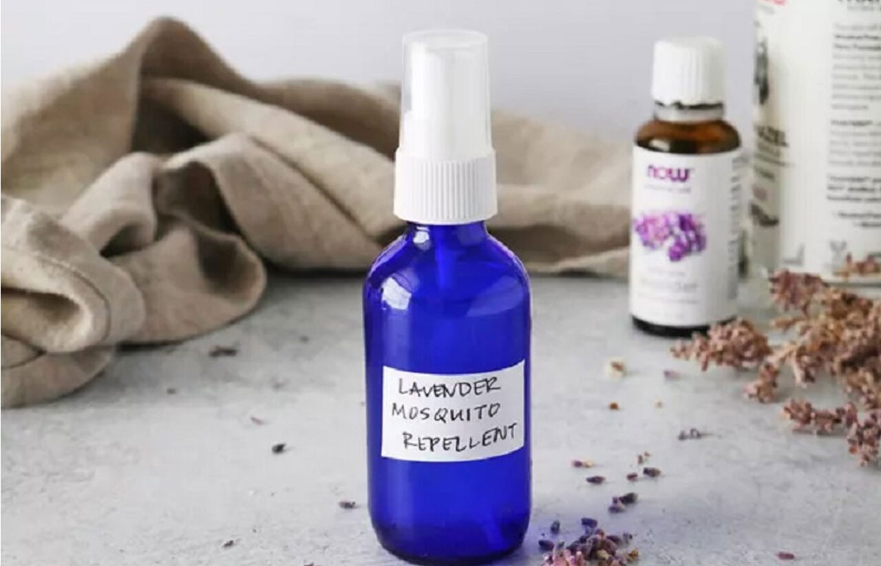 Φτιάξε σήμερα το δικό σου Σπιτικό Φυσικό Αντικουνουπικό Σπρέι