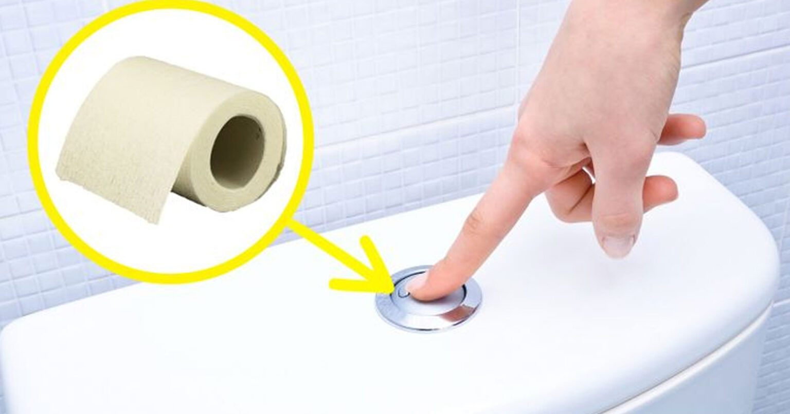 ασφαλής χρήση δημόσιων τουαλέτων,συμβουλές υγιεινής,χρήσιμα,συμβουλές υγείας,υγεία