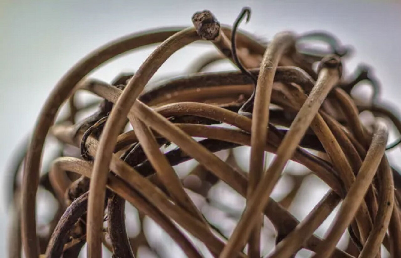 Πώς να Μαλακώσετε Κληματόβεργες για DIY Κατασκευές