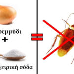 3 Ασφαλείς Φυσικοί Τρόποι για να Απαλλαγείτε από τα Έντομα στο Σπίτι