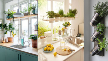 21 Ιδέες Διακόσμησης Κουζίνας με Φυτά και Βότανα