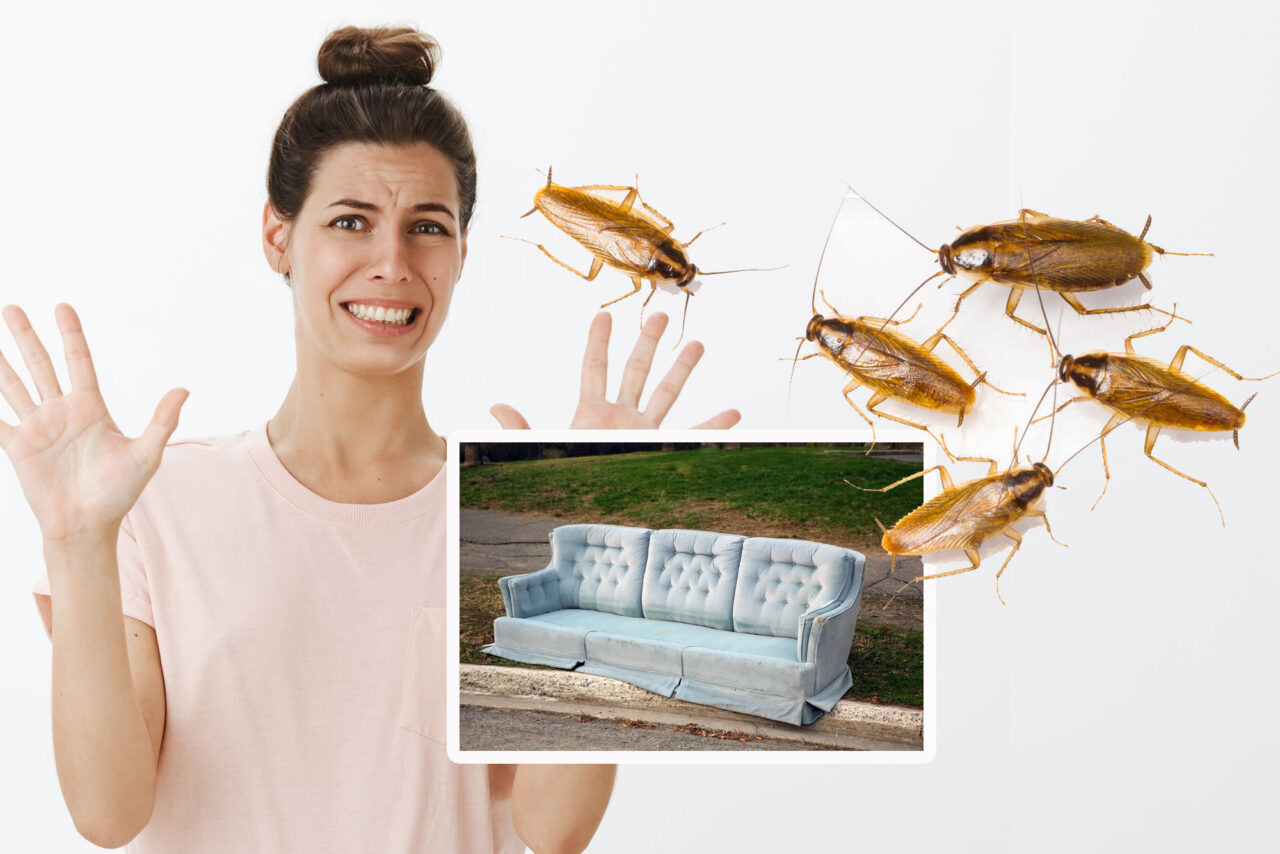 Αυτός είναι ο κίνδυνος αν αγοράσεις μεταχειρισμένα έπιπλα – Η αηδιαστική ανακάλυψη χρήστη του TikTok