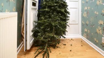 Ξεστόλισμα και χρήσεις: Εύκολοι Τρόποι για να Επαναχρησιμοποιήσετε το Φυσικό Χριστουγεννιάτικο Δέντρο σας Μετά τις Γιορτές