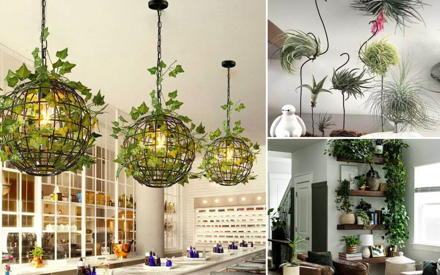 διακόσμηση σπιτιού με φυτά,ιδέες διακόσμησης με φυτά,διακόσμηση,
