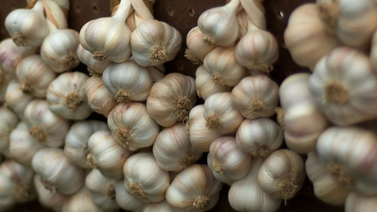 Φενγκ Σούι - Διώξε Την Γρουσουζιά Από Το Σπίτι: 5 Θαυματουργά Κόλπα