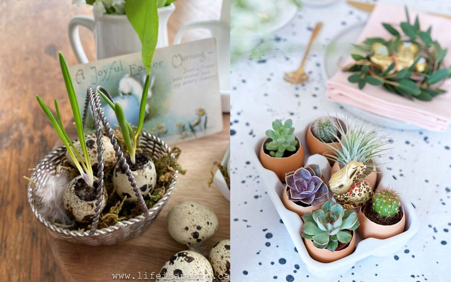 DIY γλάστρες από τσόφλια αυγών,DIY γλάστρες,DIY κατασκευές,επαναχρησιμοποίηση,γιορτές,Πάσχα,