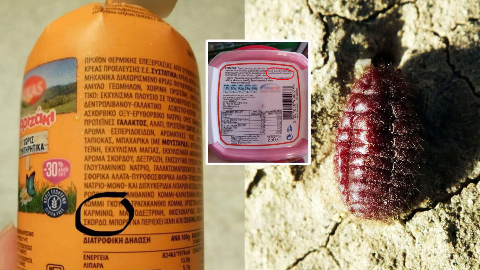 Θέλουν Να Μας Πεθάνουν: Καρμίνιο ο Σιωπηλός Δολοφόνος κάθε Μέρα και Κάθε Ώρα στο Πιάτο μας - Ψάχνουμε τις συσκευασίες - Λίστα Με Τα "Ε"