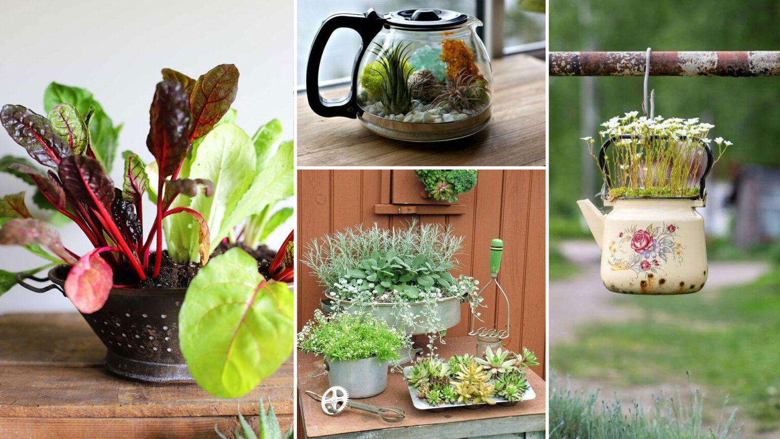 30 DIY Γλάστρες από Αχρησιμοποίητα Είδη Κουζίνας