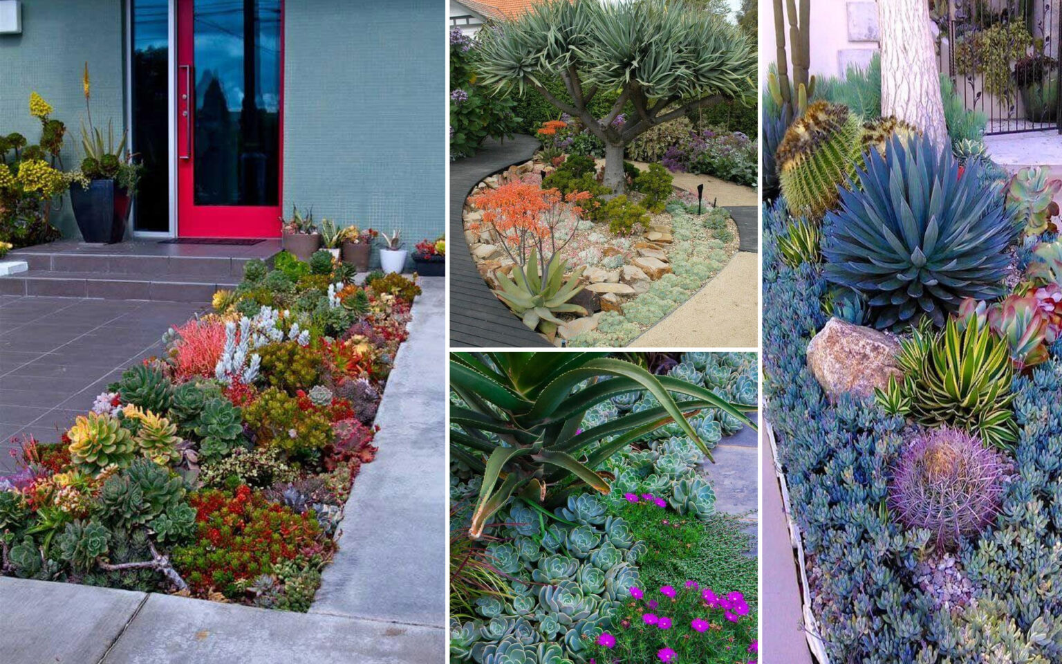 διακόσμηση κήπου με παχύφυτα,ιδέες διακόσμησης κήπου,διακόσμηση κήπου,