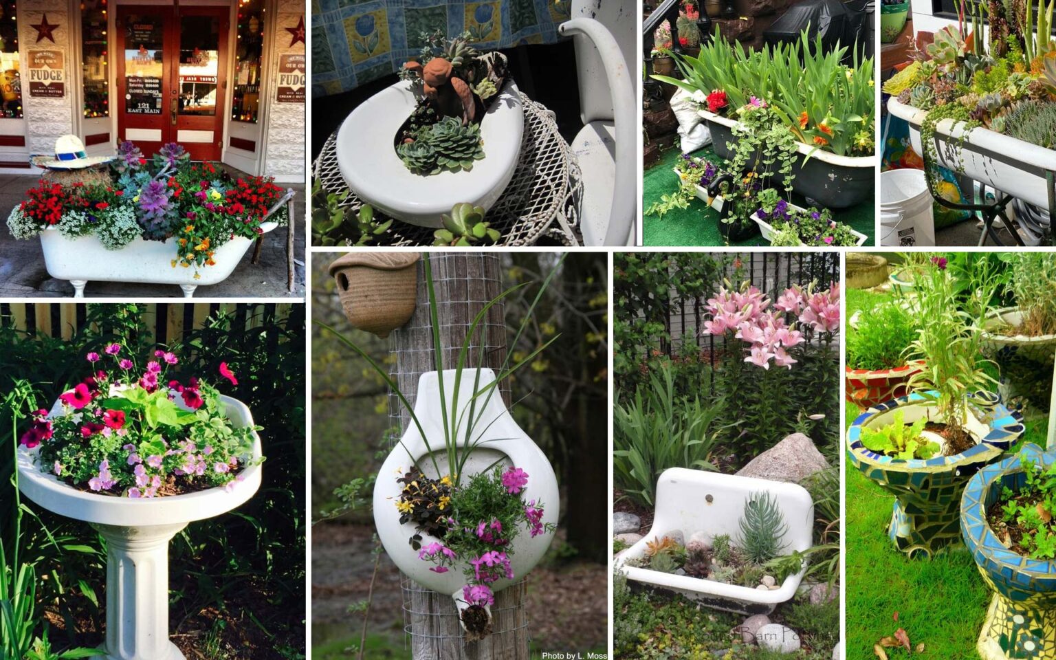 Μην Πετάς Τα παλιά Είδη Υγιεινής: 20 DIY Γλάστρες από Σπασμένα Είδη Μπάνιου