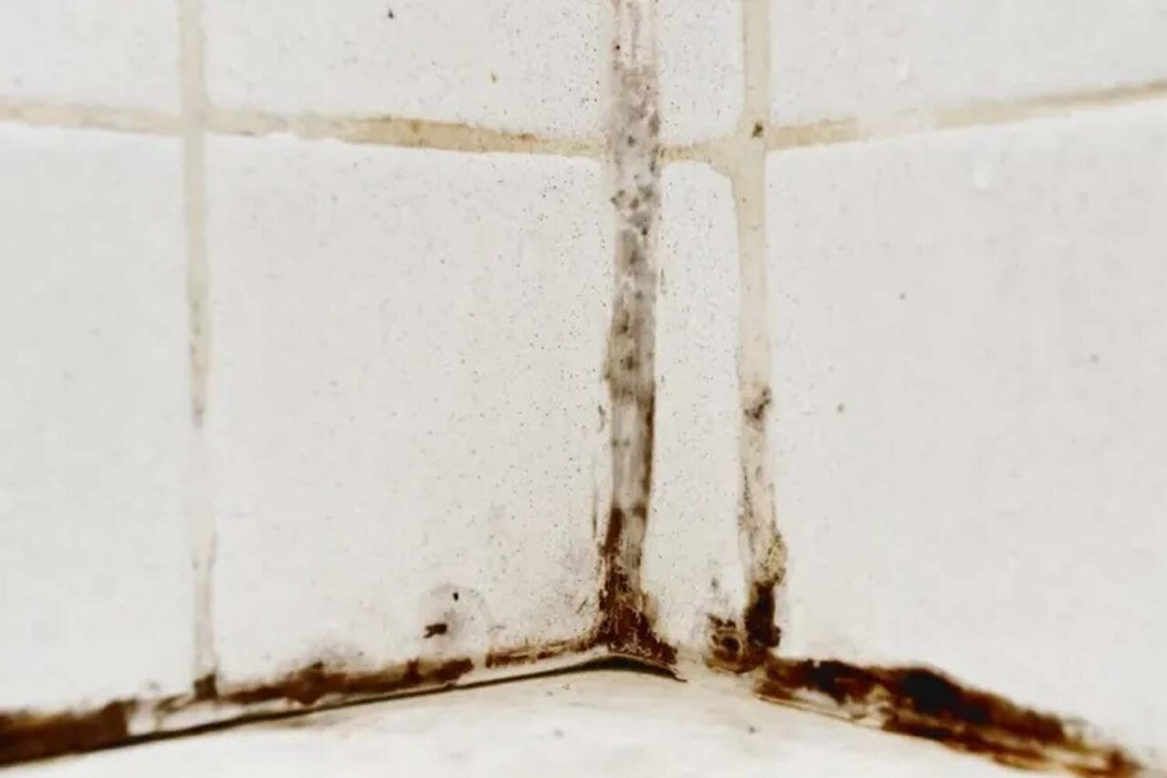 μούχλα στο μπάνιο,αντιμερώπιση μούχλας,καθαρισμός,συμβουλές καθαρισμού,χρήσιμα,