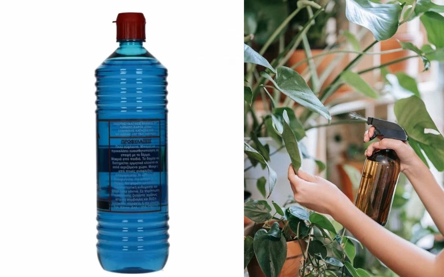 οινόπνευμα στα φυτά,συμβουλές κηπουρικής,χρήσιμα,για τον κήπο,