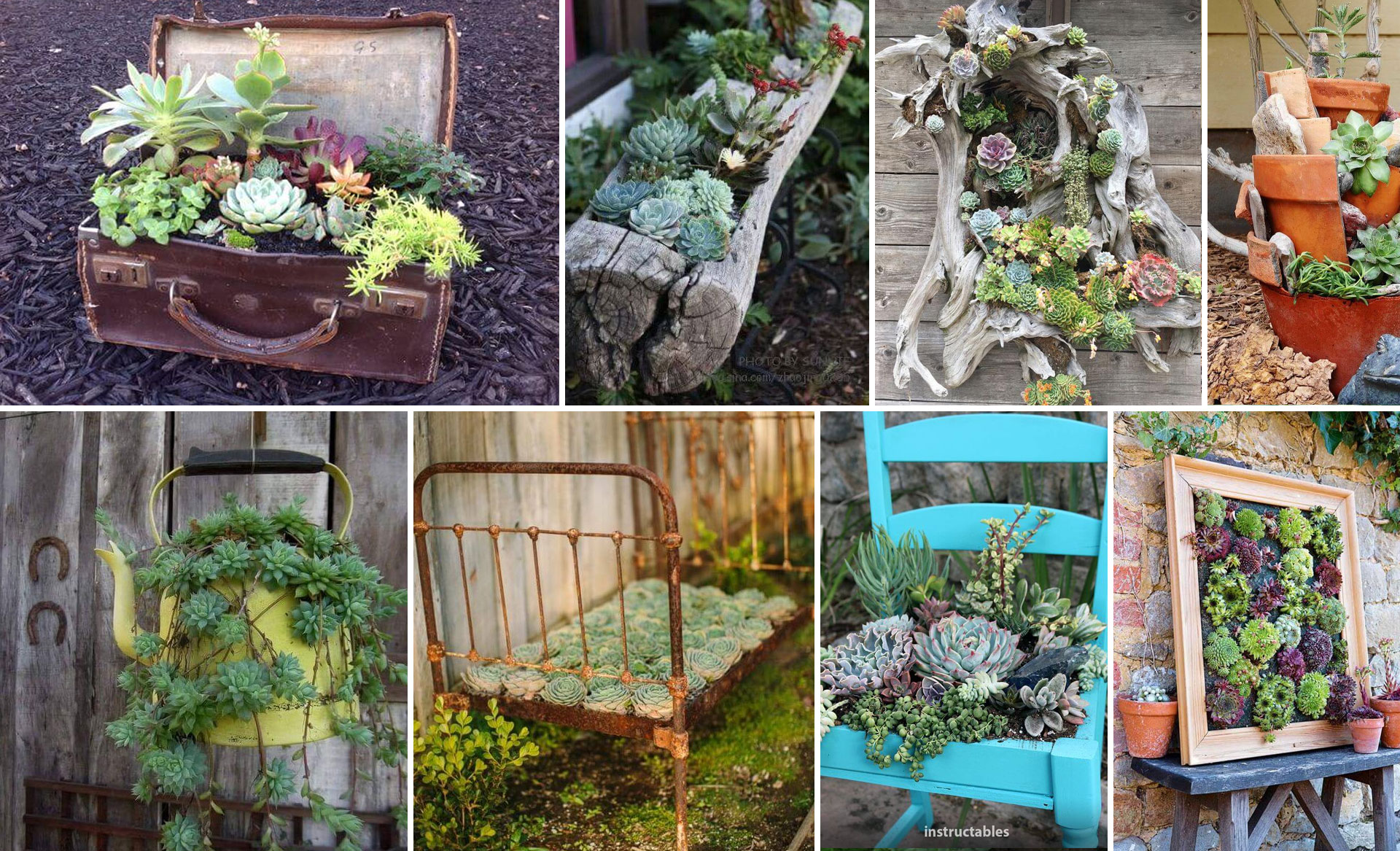 Παλιά Αντικείμενα και Παχύφυτα στον Κήπο: 25 Υπέροχες Κατασκευές