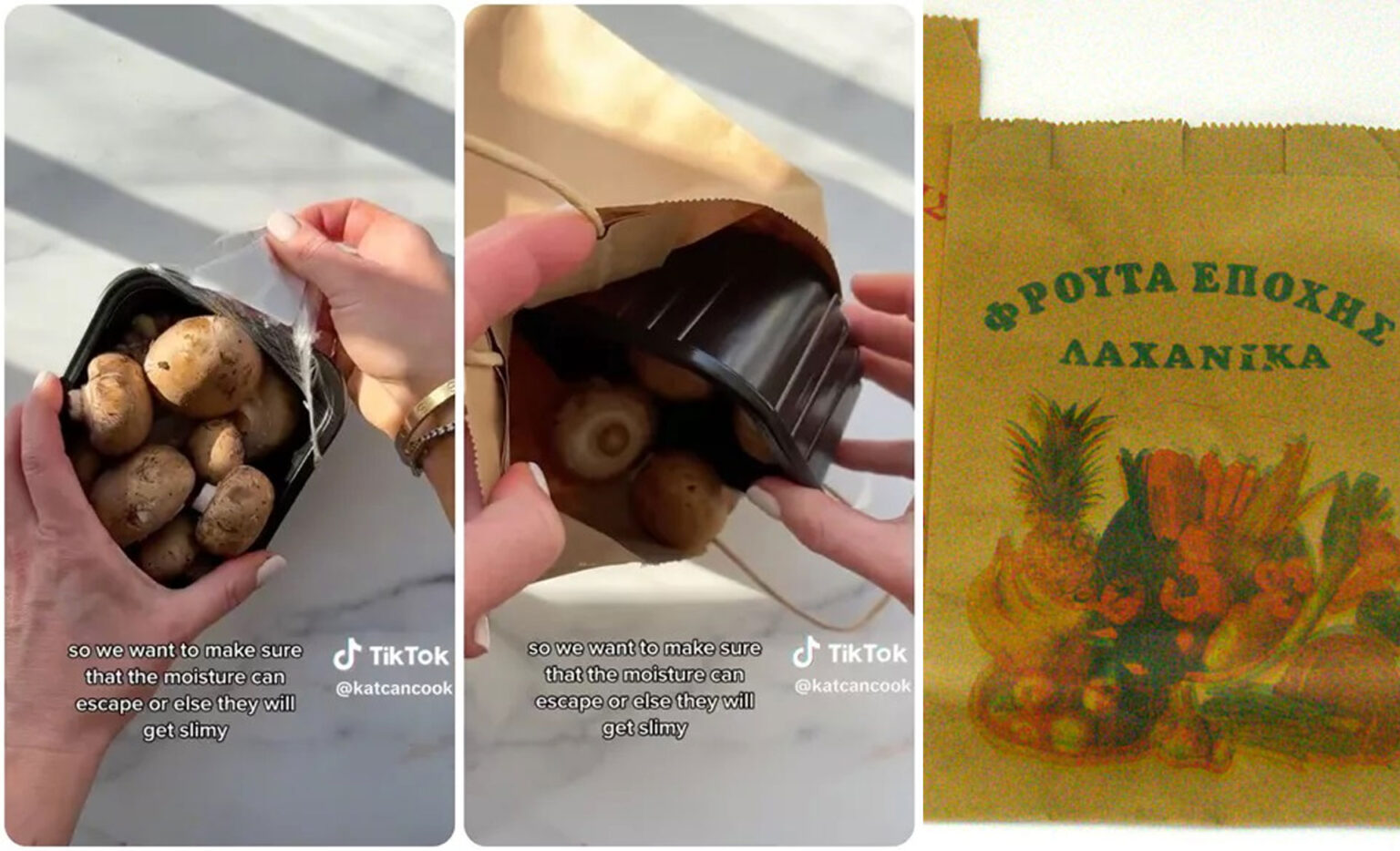 Πώς να Αποθηκεύετε Σωστά τα Μανιτάρια, Σύμφωνα με έναν Καλλιεργητή Μανιταριών