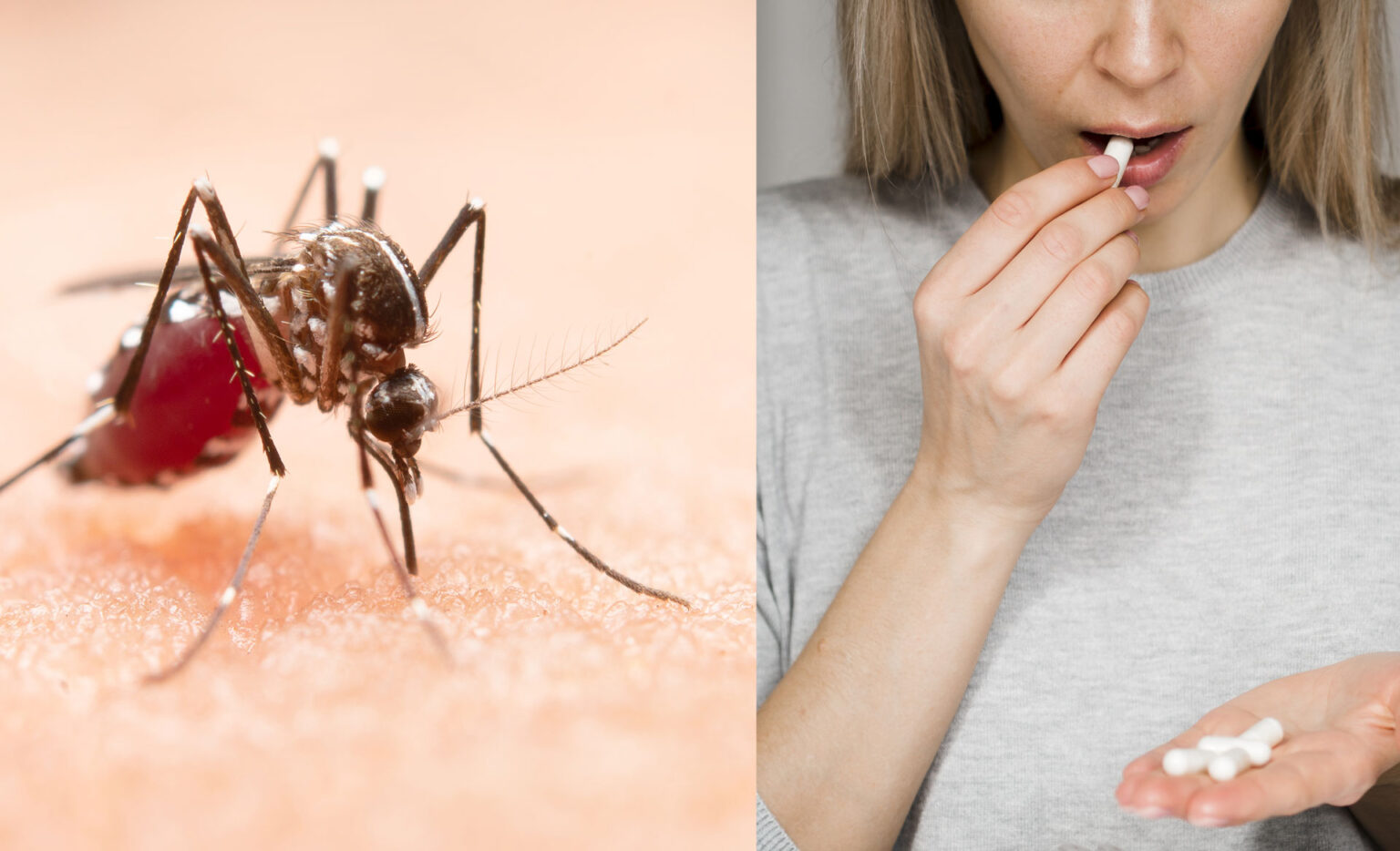 Αυτή Η Βιταμίνη Σας Λείπει Και Σας Τσιμπάνε Τα Κουνούπια: Πώς Θα Την Αναπληρώσετε