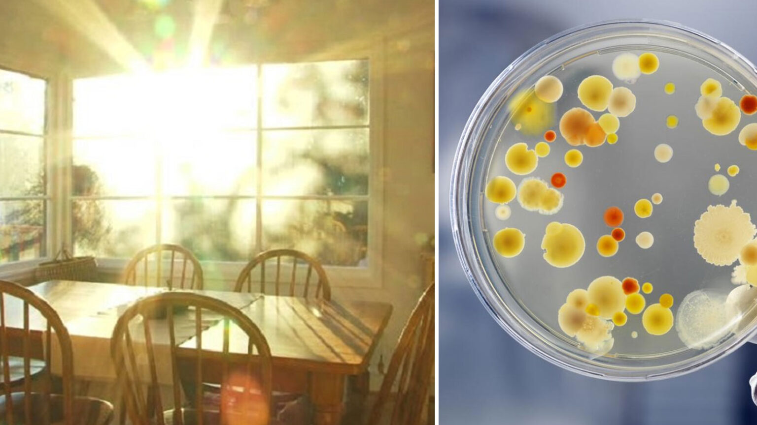 Ανοίξτε τις κουρτίνες! Ή ίσως να φτιάξετε περισσότερα παράθυρα! Μελέτη διαπιστώνει ότι το φως του ήλιου είναι το καλύτερο απολυμαντικό!