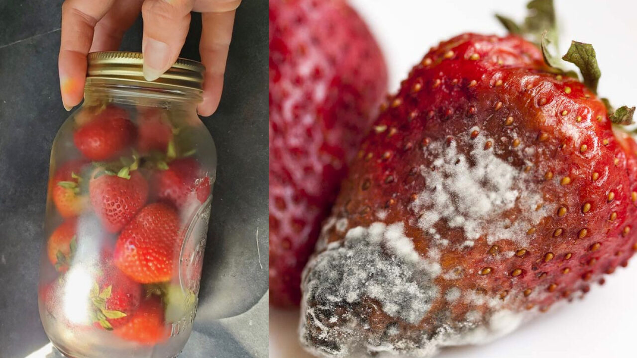 Food Waste: Βάλτε τις Φράουλες σε Γυάλινο Βάζο για να Διαρκέσουν 3 Εβδομάδες, Να Μην Μουχλιάσουν Και Τις Πετάς