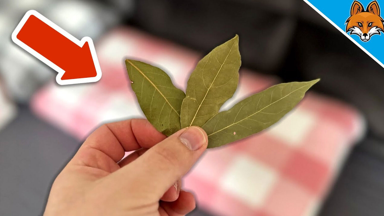 Βάλε Αυτά Τα Φύλλα Στο Κρεβάτι σου Την Νύχτα και Θα απορείς Γιατί Δεν Το Έκανες Νωρίτερα! [ΒΙΝΤΕΟ]