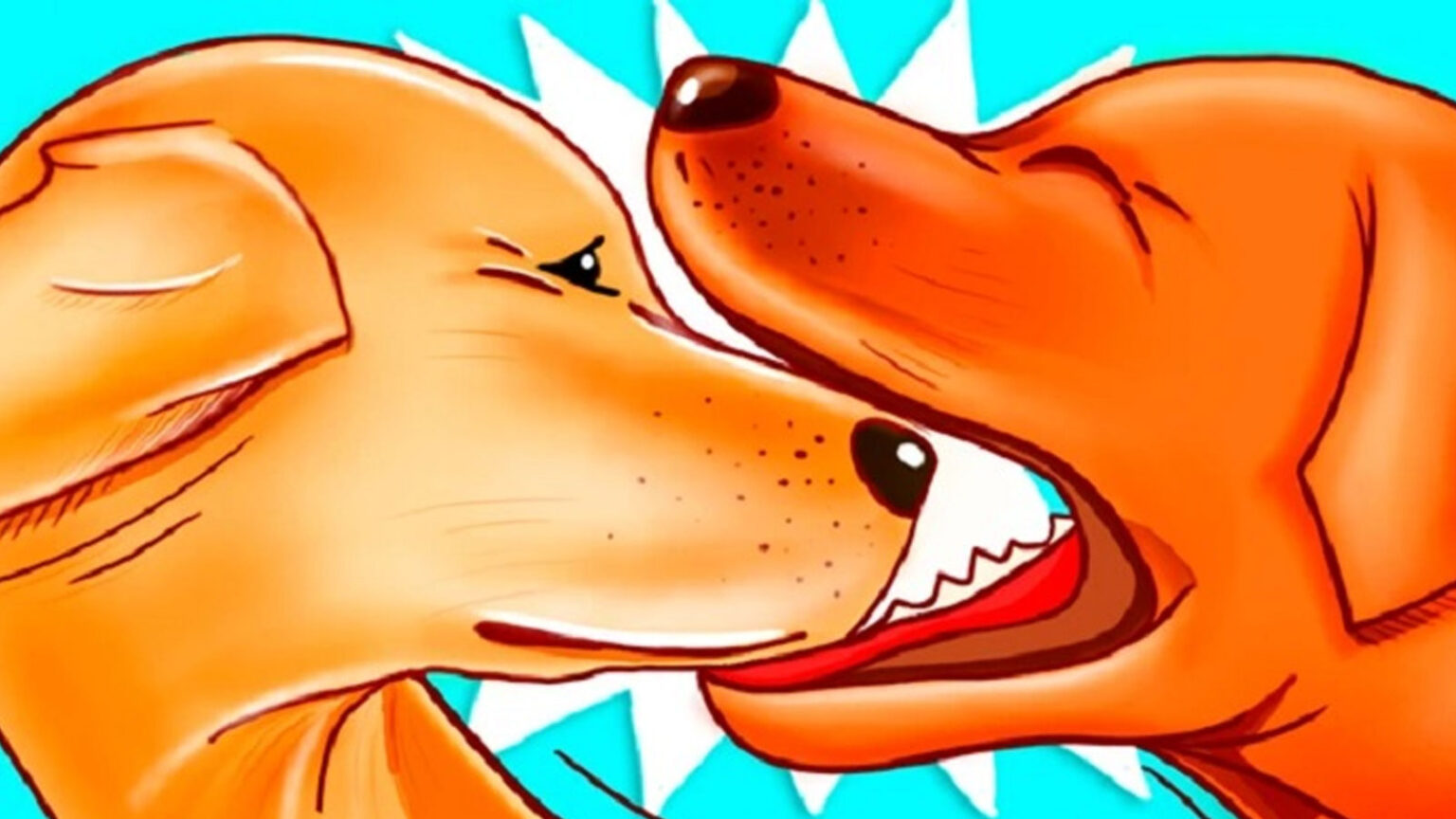 δάγκωμα σκύλων στο στόμα,συμβουλές για σκύλους,χρήσιμα,περίεργα,