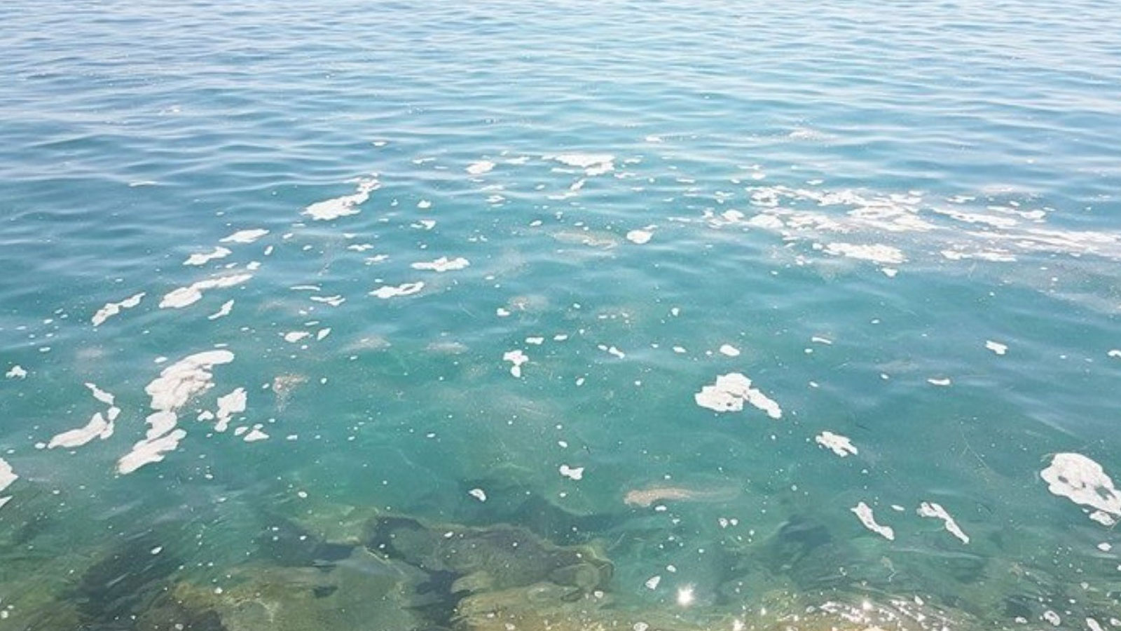 Βρώμικη θάλασσα: Τέσσερις ενδείξεις για να καταλάβεις ότι τα νερά που κολυμπάς είναι ακατάλληλα