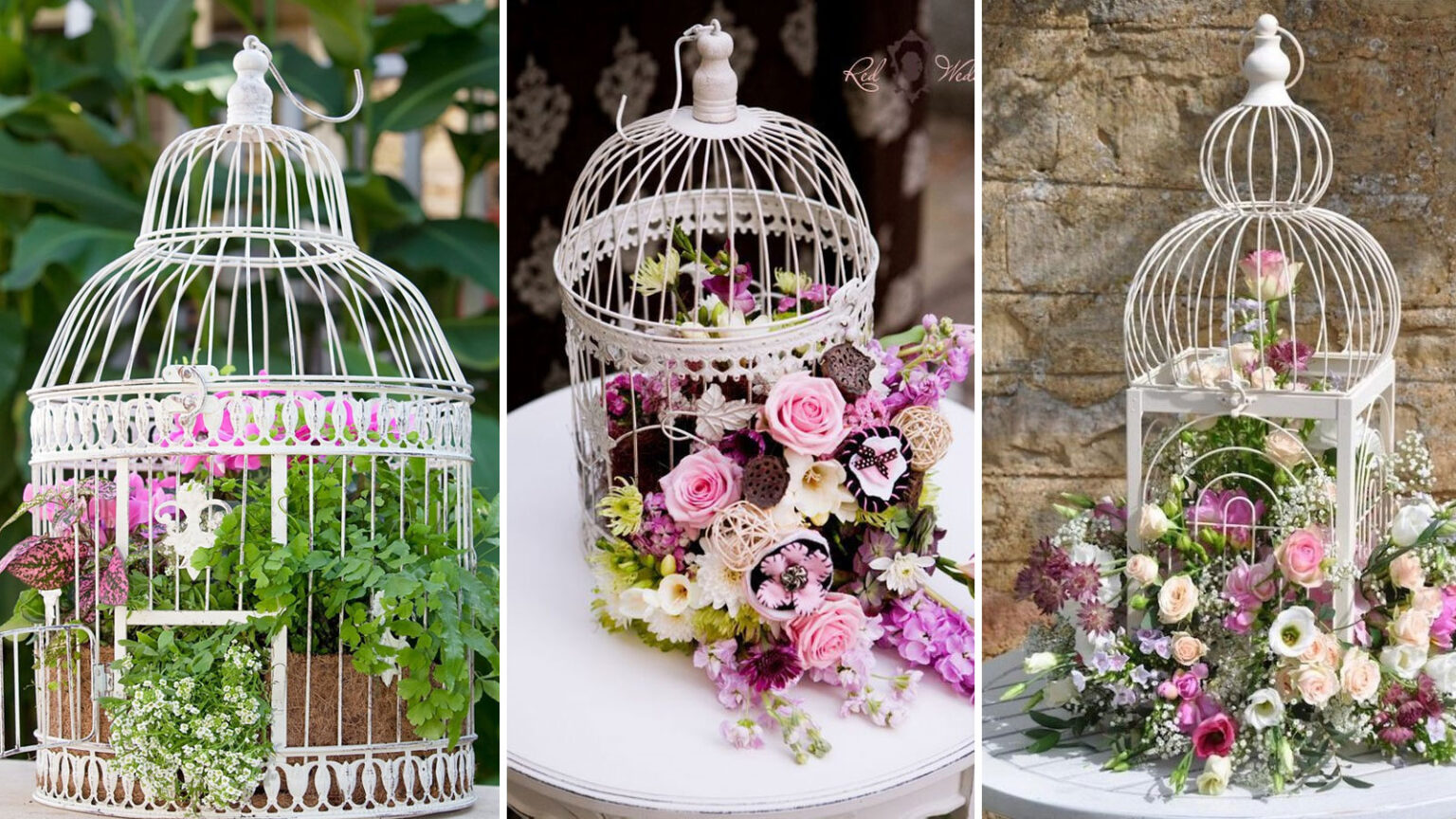 Κλουβιά Γεμάτα Λουλούδια: Διακοσμήστε την Κουζίνα σας