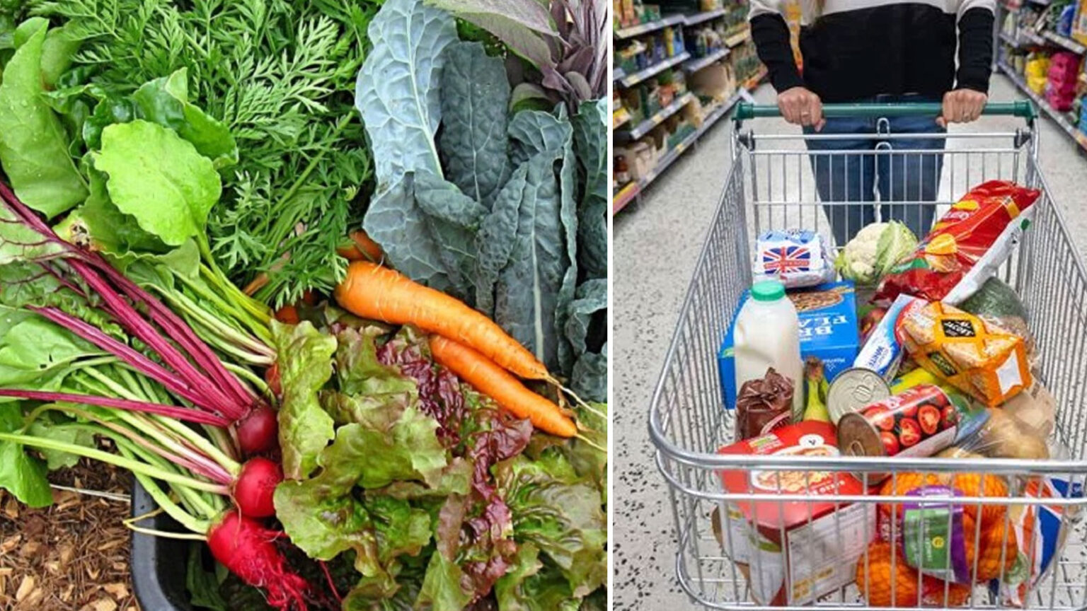 θρεπτική αξία λαχανικών,διατροφή,συμβουλές διατροφής,χρήσιμα,