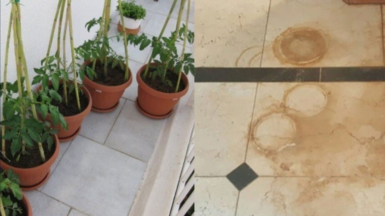Λεκέδες Από Γλάστρες Στα Πλακάκια: 4 Τρόποι να τους Καθαρίσετε Χωρίς Να Τα Πάρετε "Στο Χέρι"