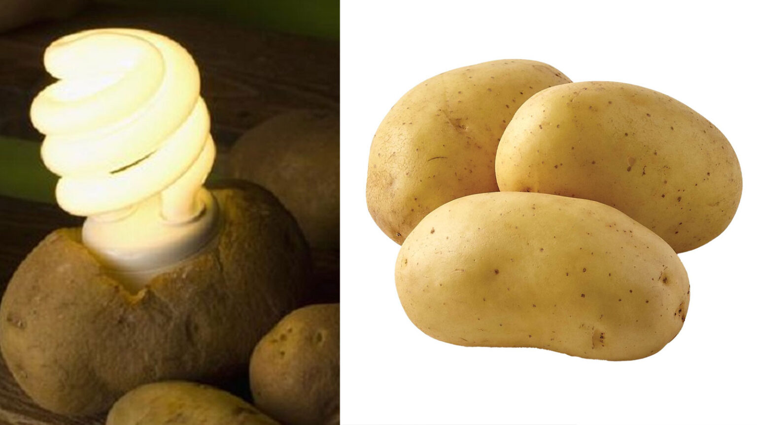 Μπαταρίες Πατάτας: Μπορούν να Φωτίσουν ένα Δωμάτιο για 40 Ημέρες με Ελάχιστο Κόστος