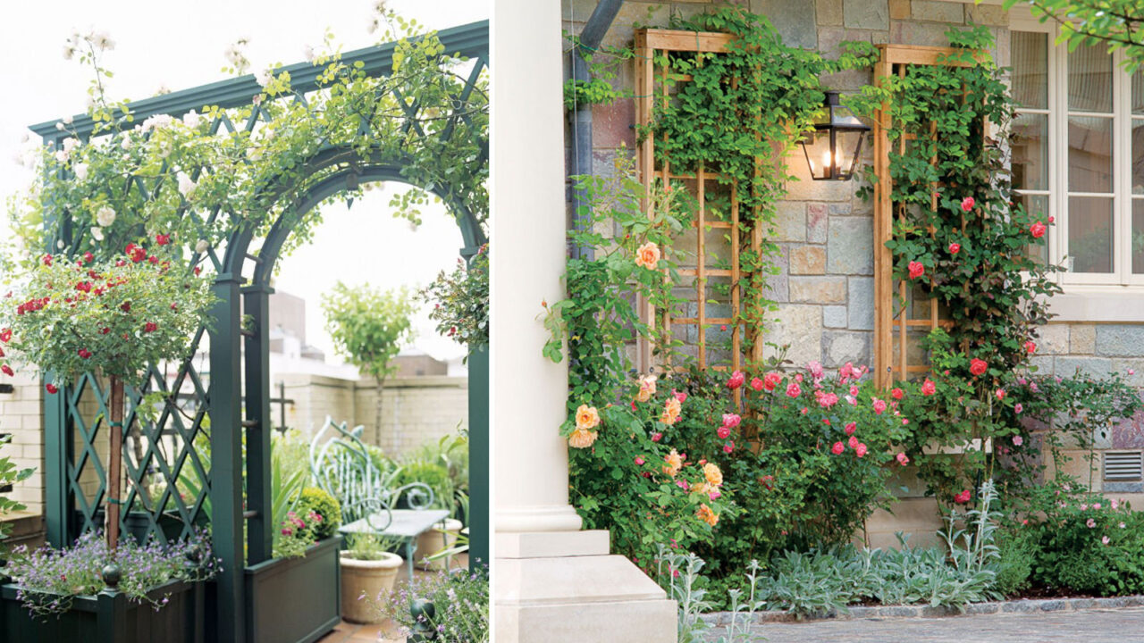 κατασκευή πέργκολας,κατασκευές κήπου,διακόσμηση κήπου,