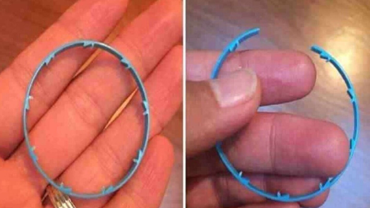 Ο Πλαστικός Δακτύλιος Από Τα Μπουκάλια Μπορεί Να Αποδειχθεί "Δολοφόνος". Γιατί Πρέπει Πάντα Να Τον Κόβουμε